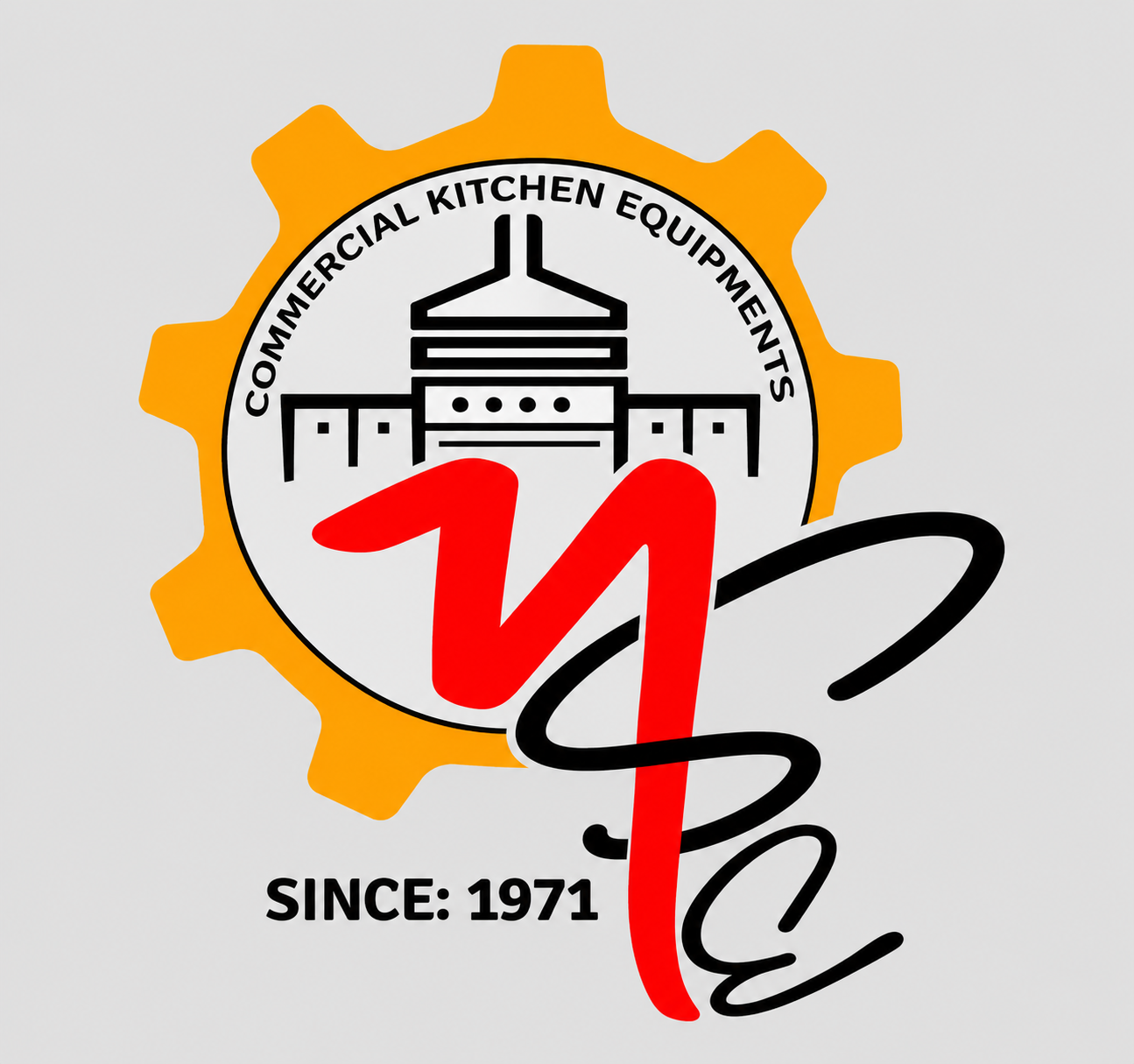 Naseer Sons Engineering Company(Multan) logo